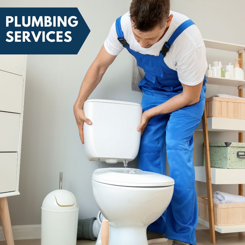 Plumbing Company in Steger, IL